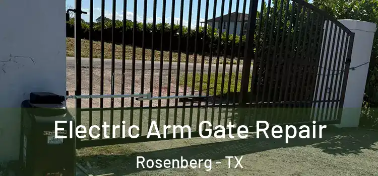  Electric Arm Gate Repair Rosenberg - TX