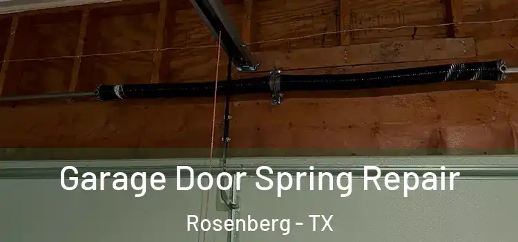  Garage Door Spring Repair Rosenberg - TX