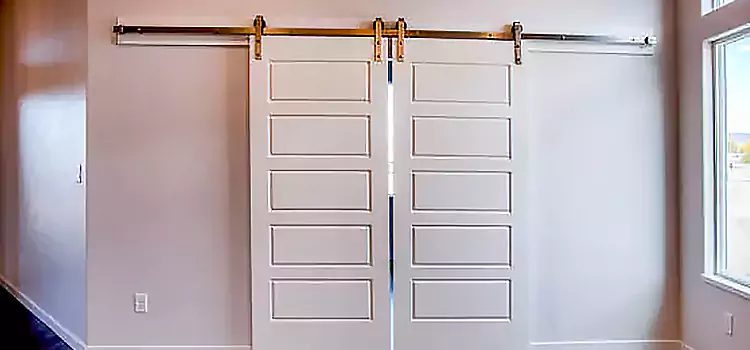 Glass Barn Door with Installation Hardware Kit Rosenberg
