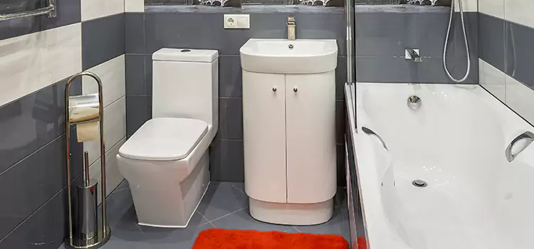 Hansgrohe Shaving Mirror Rosenberg