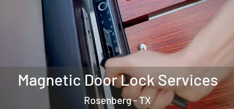 Magnetic Door Lock Services Rosenberg - TX