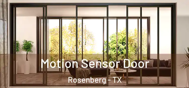  Motion Sensor Door Rosenberg - TX