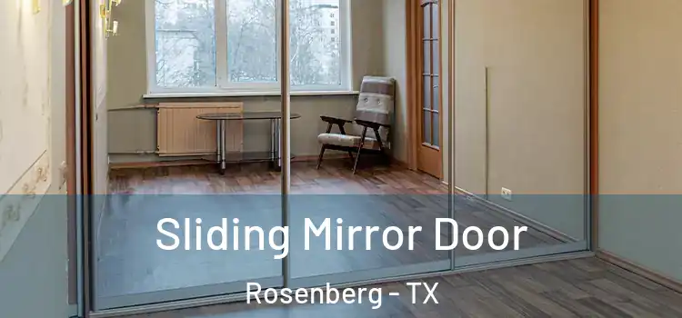  Sliding Mirror Door Rosenberg - TX